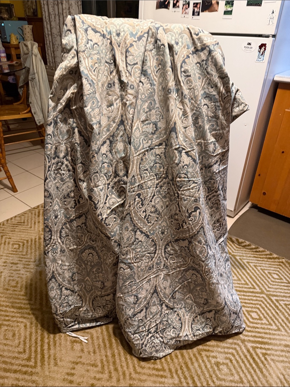Pottery Barn Makenna King size paisley duvet cover